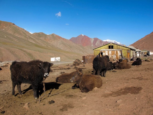 i100830 081428
